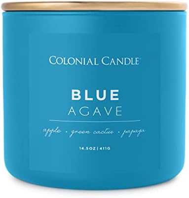 Blue Agave Scented 14.5 oz 3-Wick Jar Candle - 60 Hour Burn