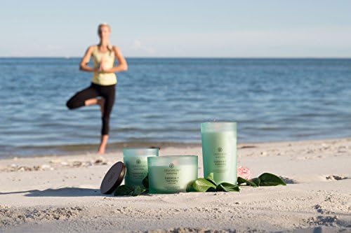 Chesapeake Bay Harmony Water Lily Pear Candle 50-Hour Burn Soy Wax Blend - Image 7