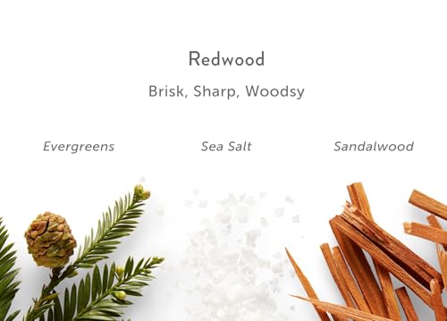 Harry's 30oz Redwood Body Wash with Pump - Image 6