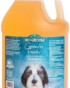 Bio-Groom Groom'n Fresh Shampoo – Odor Eliminating, Cruelty-Free, 1 Gallon for Dogs & Cats
