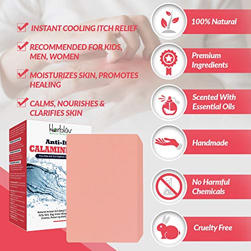 Calamine Soap Bar for Itchy Skin, Bug Bites, Eczema, Poison Ivy Relief - Image 3