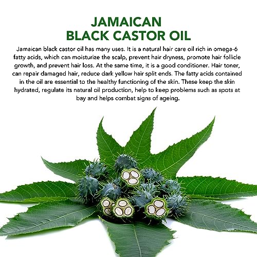 Organic Cold Pressed Black Castor Oil Hair Growth Skin Moisturizer 8oz 1 Piece - Image 7