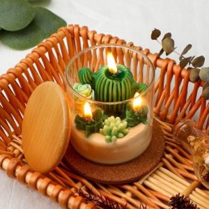Tondiamo 3.15" Scented Cactus Candles for Home, Gifts, Weddings, and Showers