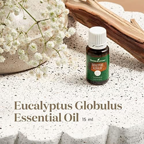 Eucalyptus Globulus Essential Oil 15ml ? Aromatic & Respiratory Support - Image 2