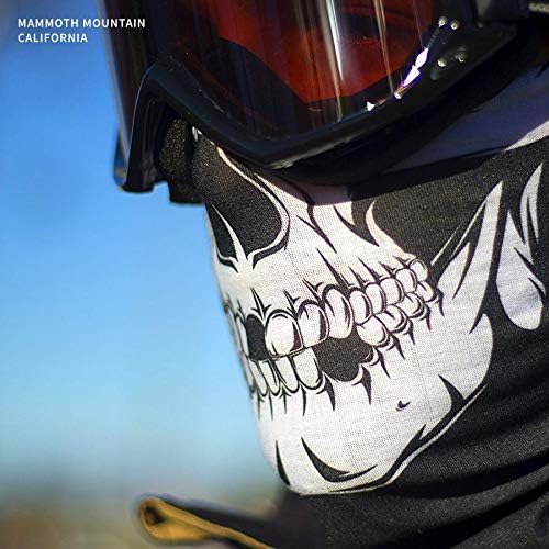 Indie Ridge Skull Face Mask for Motorcycles Winter Sports Warm Comfortable - Image 2