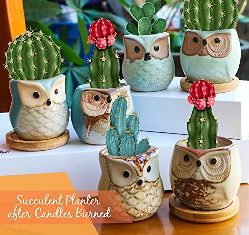 6-Pack Owl Scented Candles for Women Birthday Gifts Aromatherapy Relaxing Home Decor - Image 7