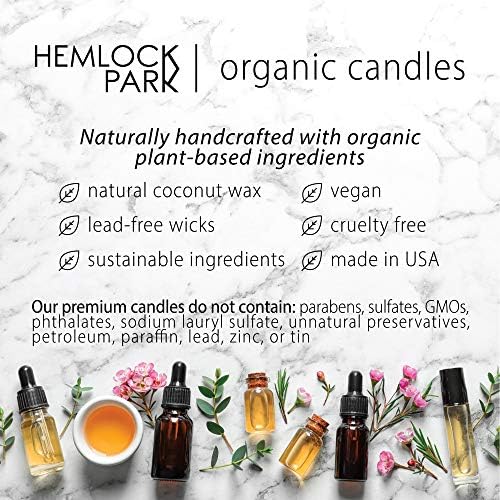 Hemlock Park 8 oz Pomelo Citrus Candle with Natural Coconut Wax & Wood Wick - Image 4