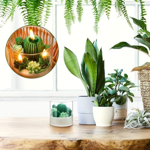 Tondiamo 3.15" Scented Cactus Candles for Home, Gifts, Weddings, and Showers - Image 6