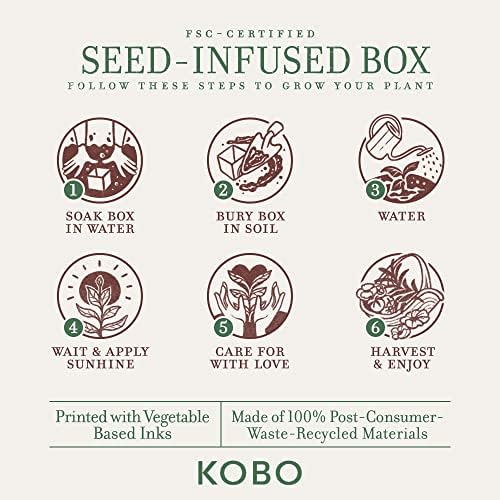 KOBO Siam Poppy Candle (9 oz) | 100% Soy Wax | Plantable Box | 60 Hour Burn - Image 4