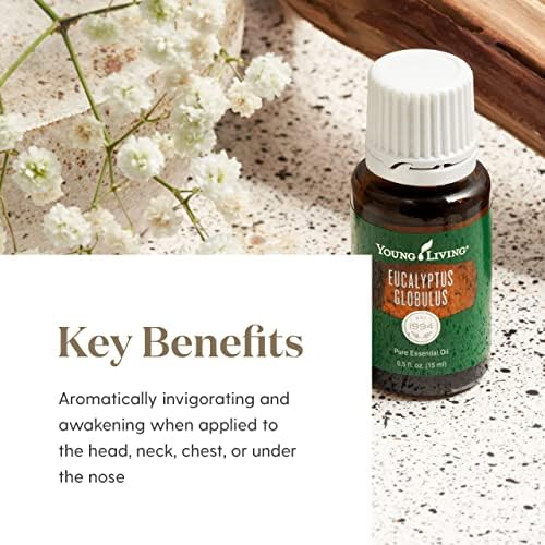 Eucalyptus Globulus Essential Oil 15ml ? Aromatic & Respiratory Support - Image 4