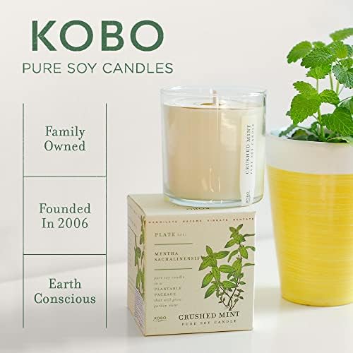 KOBO Siam Poppy Candle (9 oz) | 100% Soy Wax | Plantable Box | 60 Hour Burn - Image 9