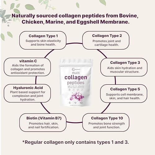 2 lbs Multi Collagen Protein Powder Types I-V with Biotin and Vitamin C Keto-Friendly - Image 3