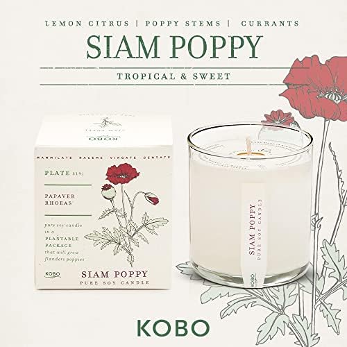 KOBO Siam Poppy Candle (9 oz) | 100% Soy Wax | Plantable Box | 60 Hour Burn - Image 2