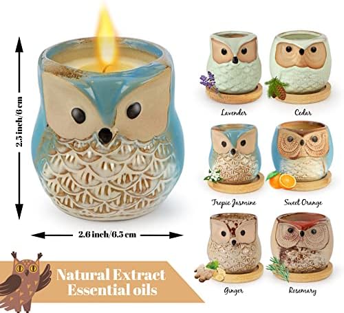 6-Pack Owl Scented Candles for Women Birthday Gifts Aromatherapy Relaxing Home Decor - Image 2