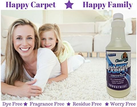 Premium Carpet Shampoo, Stain & Odor Remover, Steam Compatible | 1 Quart - Image 3