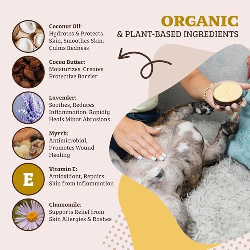 Natural Dog Company Skin Soother Stick, 0.15 oz - Itch Relief & Moisturizer - Image 2