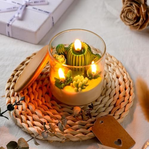 Tondiamo 3.15" Scented Cactus Candles for Home, Gifts, Weddings, and Showers - Image 3
