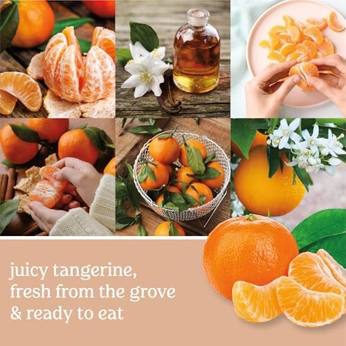 Yankee Candle Tangerine Vanilla 22oz Classic Jar Candle 110+ Hour Burn Time - Image 5