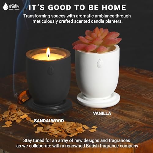 Matani Grey Lavender Soy Candle Planter - Aromatherapy Gift with Dual Purpose Jar - Image 3