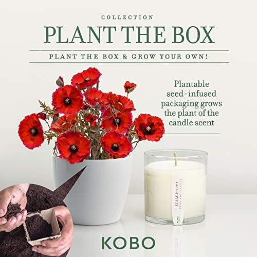 KOBO Siam Poppy Candle (9 oz) | 100% Soy Wax | Plantable Box | 60 Hour Burn - Image 3