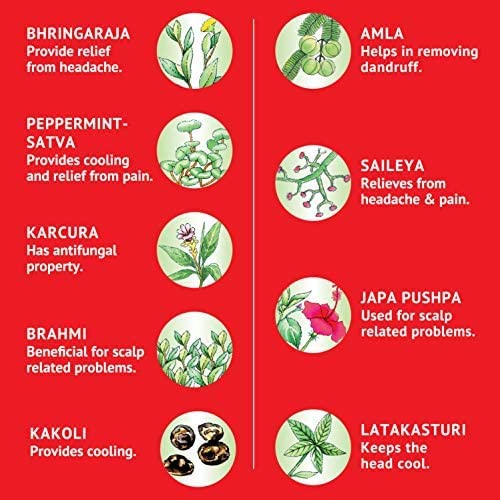 Ayurvedic Cool Oil with 9 Herbs for Headache & Body Ache Relief - 200ml - Image 4