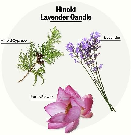 Apotheke Hinoki Lavender Luxury Aromatherapy Candle - Soy Wax Blend - Image 2