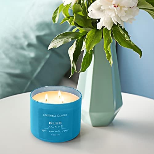 Blue Agave Scented 14.5 oz 3-Wick Jar Candle - 60 Hour Burn - Image 2
