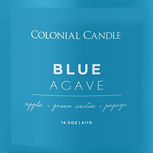 Blue Agave Scented 14.5 oz 3-Wick Jar Candle - 60 Hour Burn - Image 3