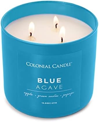 Blue Agave Scented 14.5 oz 3-Wick Jar Candle - 60 Hour Burn - Image 4