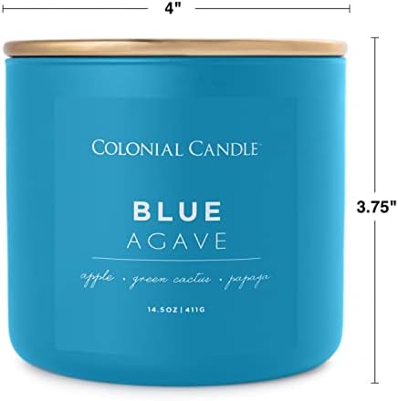 Blue Agave Scented 14.5 oz 3-Wick Jar Candle - 60 Hour Burn - Image 6