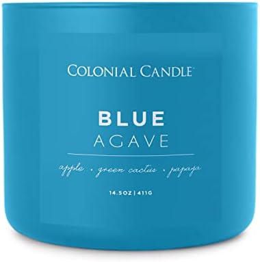 Blue Agave Scented 14.5 oz 3-Wick Jar Candle - 60 Hour Burn - Image 5