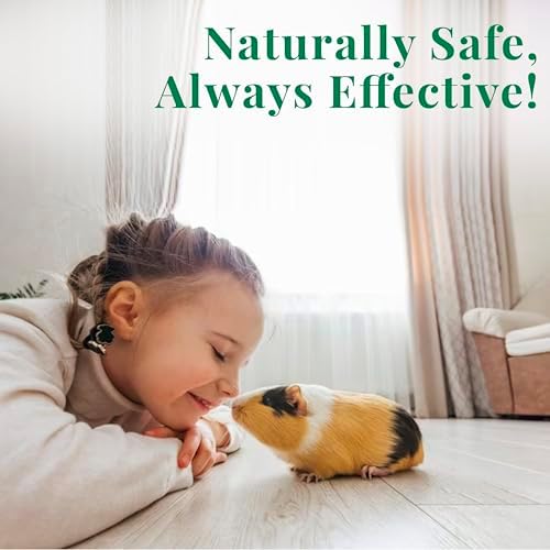 Citrus Magic Rinse-Free Pet Shampoo, 8 oz - Convenient Clean for Pets - Image 8