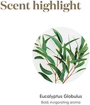 Eucalyptus Globulus Essential Oil 15ml ? Aromatic & Respiratory Support - Image 5