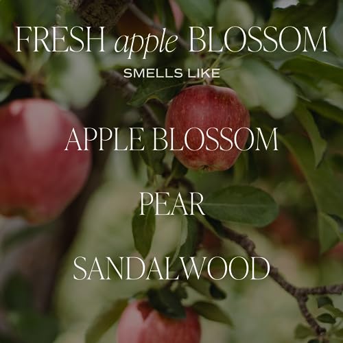 Fresh Apple Blossom Soy Candle | 9oz Amber Jar, 40+ Hour Burn Time, USA Made - Image 5