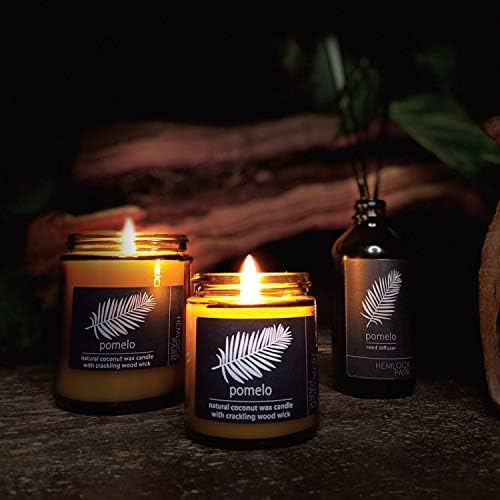 Hemlock Park 8 oz Pomelo Citrus Candle with Natural Coconut Wax & Wood Wick - Image 3