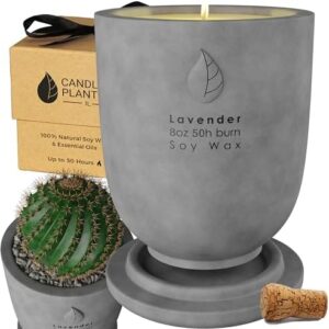 Matani Grey Lavender Soy Candle Planter - Aromatherapy Gift with Dual Purpose Jar