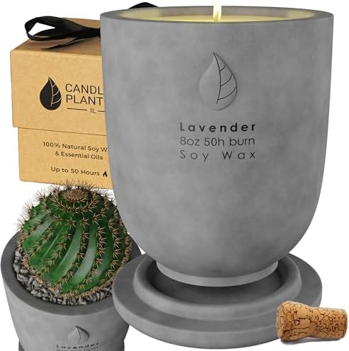 Matani Grey Lavender Soy Candle Planter - Aromatherapy Gift with Dual Purpose Jar