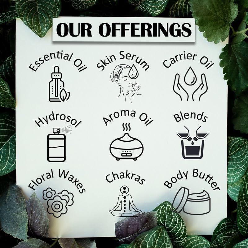 Melissa Essential Oil 10ml ? Steam Distilled (Deve Herbes) - Image 5