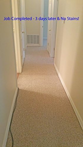 Premium Carpet Shampoo, Stain & Odor Remover, Steam Compatible | 1 Quart - Image 7