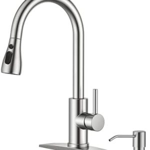 FORIOUS Brushed Nickel Kitchen Faucet with Soap Dispenser