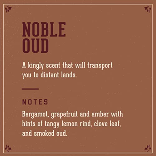 18.21 Noble Oud 3-in-1 Wash & Shampoo for Men, 32 oz - Image 5