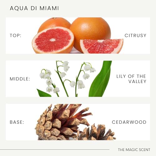 Aqua di Miami Ocean Essential Oils for Diffusers 100ml Aromatherapy Set - Image 5