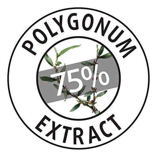 Moraz Polygonum Oil-Free Mattifying Facial Cream 1.7 oz - Image 6