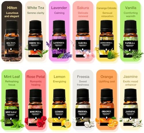 Himalayan Salt Lamp Diffuser Set with 12 Essential Oils - Image 2