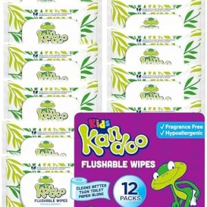 Kandoo Flushable Wipes, Unscented, 42 Count, Pack of 12