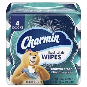 Charmin Flushable Wipes, 160 Wipes (4?40 Pack)
