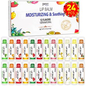 DMSKY 24 Pack Natural Lip Balm with Vitamin E & Coconut Oil