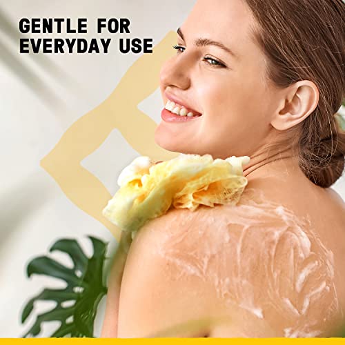 Alaffia Everyday Coconut Body Wash, 32 Fl Oz, Natural Ingredients - Image 8