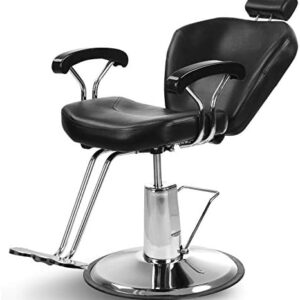 Artist Hand All-Purpose Barber Salon Chair