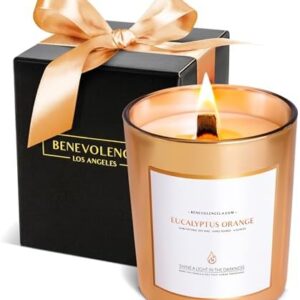 Eucalyptus Orange Wood Wick Soy Candle | 8 Oz